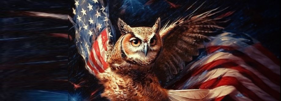 Tin Hat Nation Cover Image